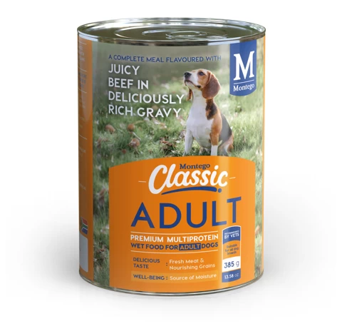 Montego Classic Adult Wet Dog food Beef in Gravy