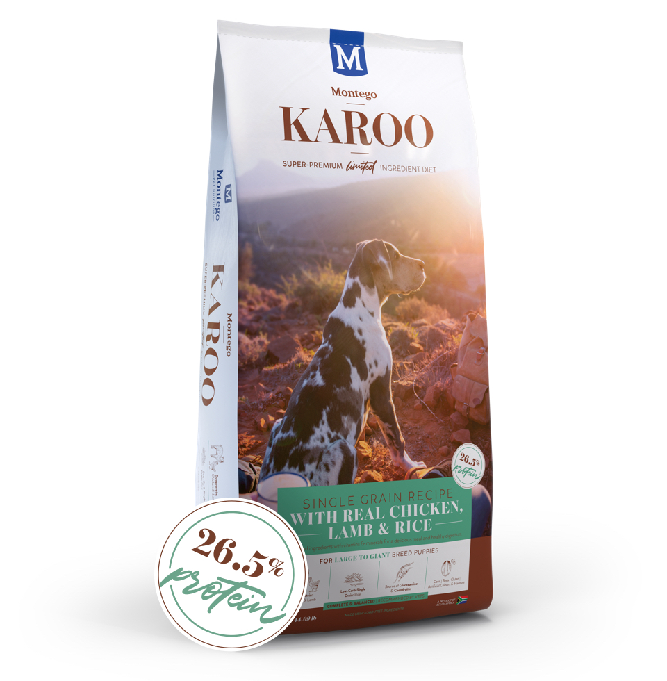 Montego Karoo Puppy Large Breed - Chicken & Lamb